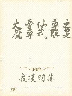 大爱仙尊之浮邪魔尊我既是天封面