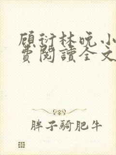 顾衍林晚小说免费阅读全文最新章节更新