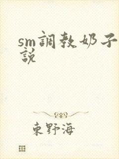 sm调教奶子小说