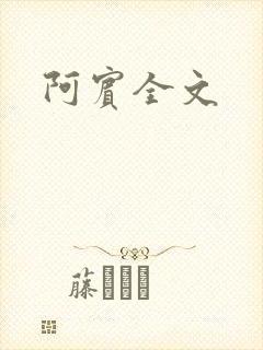 阿宾全文