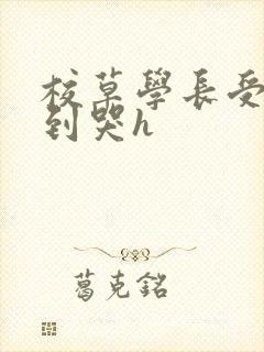 校草学长受被做到哭h