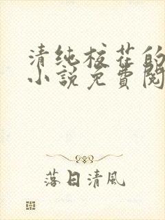 清纯校花的秘密小说免费阅读封面