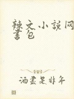 辣文小说网第二书包