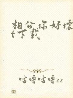 相公你好坏txt下载封面