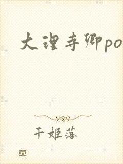 大理寺卿po封面