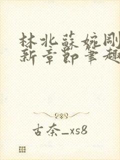 林北苏婉刚刚更新章节笔趣阁