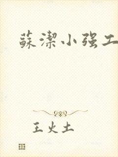 苏洁小强工地情