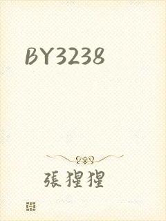 BY3238封面