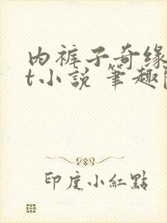 内裤子奇缘txt小说 笔趣阁