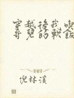 穿越后我吃到了哥儿的软饭炉山灰