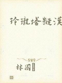 玲珑塔糙汉租客