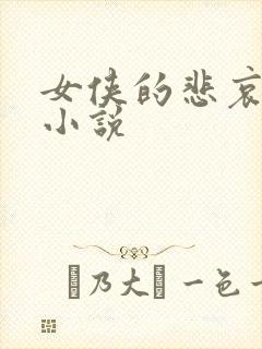 女侠的悲哀续集小说封面