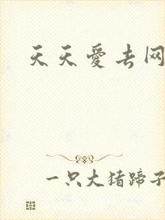 天天爱去网