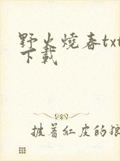 野火烧春txt下载封面