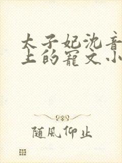 太子妃沈音和皇上的宠文小说封面