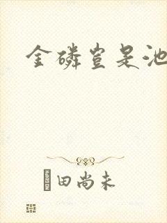 金磷岂是池中物封面