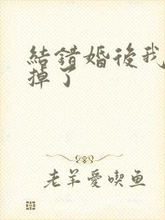 结错婚后我离不掉了封面