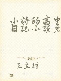 小诗的高中成长日记小说免费阅读