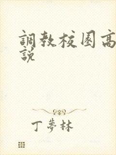 调教校园高h小说封面