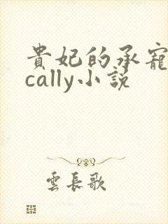 贵妃的承宠日常cally小说