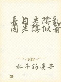 长日光阴乱作一团光阴似箭渺渺免费阅读