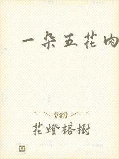 一朵五花肉