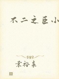 不二之臣小说