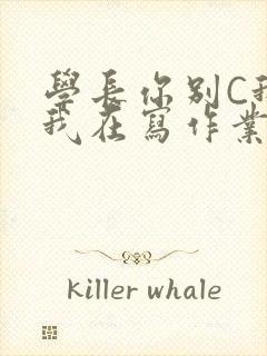 学长你别C我了我在写作业