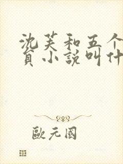 沈芙和五个消防员小说叫什么封面