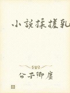 小说揉搓乳尖