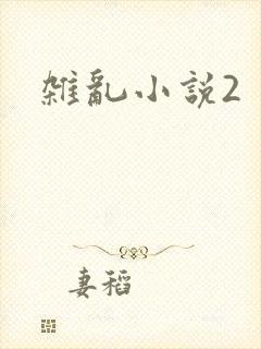 杂乱小说2