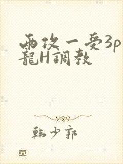两攻一受3p双龙H调教