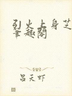 引火上身芝麻糖笔趣阁