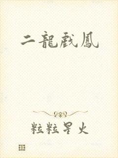 二龙戏凤