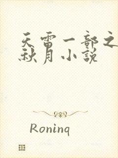 天雷一部之春花秋月小说封面