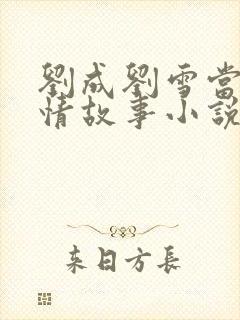 刘成刘雪当代爱情故事小说封面