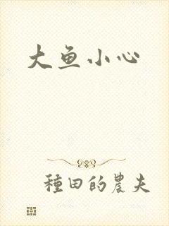 大鱼小心封面