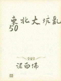 东北大坑乱1—50封面