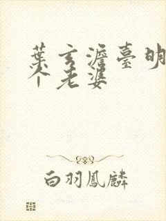 叶玄澹台明月几个老婆封面