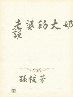 老婆的大奶子小说封面