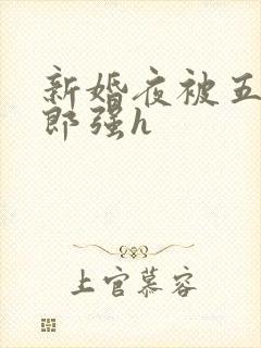 新婚夜被五个伴郎强h