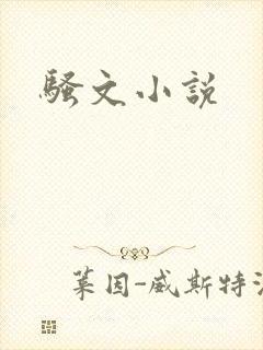 骚文小说