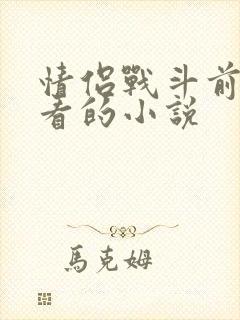 情侣战斗前适合看的小说