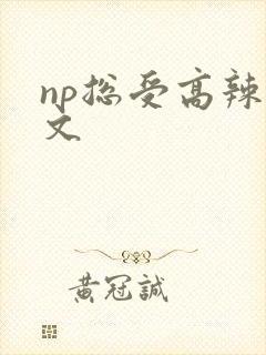 np总受高辣h文