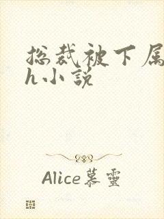 总裁被下属调教h小说封面