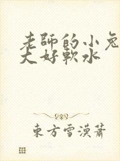 老师的小兔子好大好软水封面