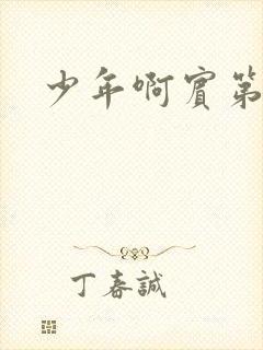 少年啊宾第二部封面