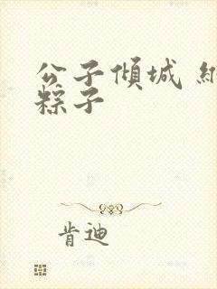 公子倾城 维和粽子