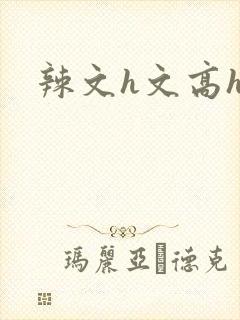 辣文h文高hh