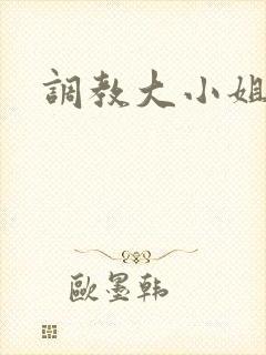 调教大小姐封面